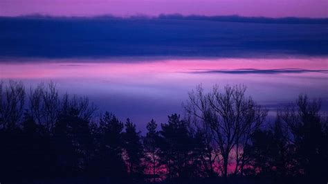 5120x2880 Clouds Forest Landscape Lilac Purple Serene Sunrise Sunset