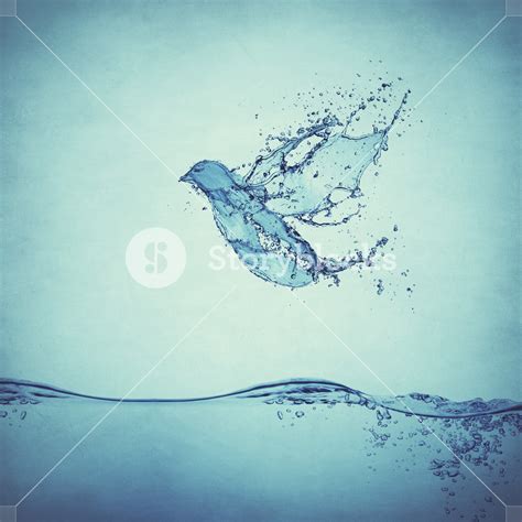 The Holy Spirit As A Dove Flies Through The Water Royalty Free Stock