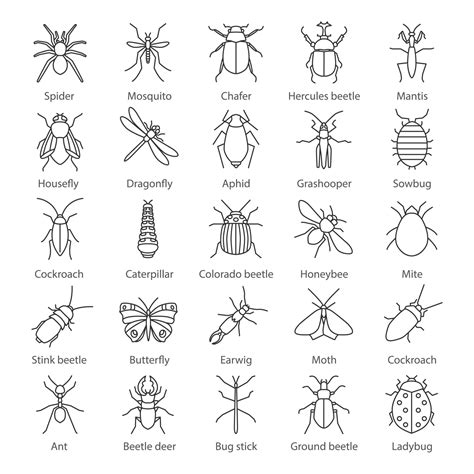 Insects Linear Icons Set Bugs Entomologist Collection Thin Line