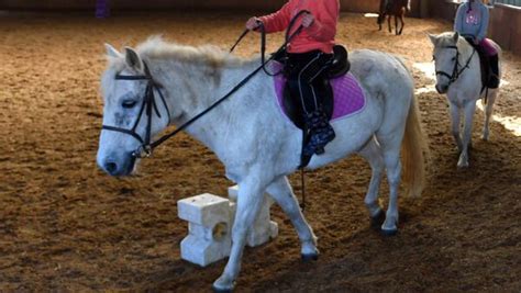 Girl Who Fell Off Her Pony Claiming It Was Spooked By A Horse Settles