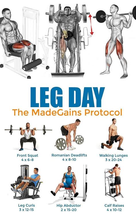 Leg Day Exercises Leg Workouts Gym Leg Training Top Exercises
