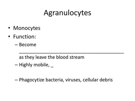 Ppt Granulocytes Powerpoint Presentation Free Download Id2114517