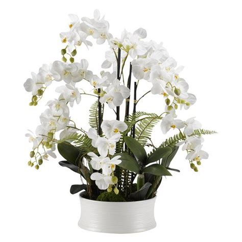 Orchids Floral Arrangement In Ceramic Dish Flower Arrangements Orchid Arrangements Orchids