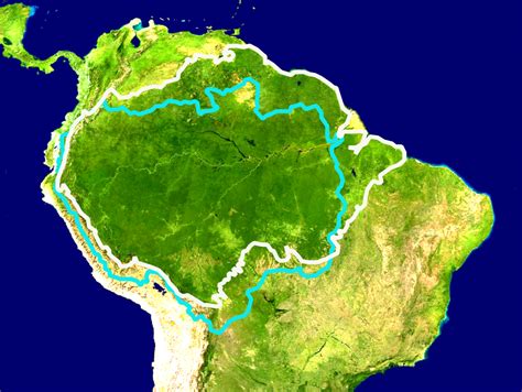New Study The Amazon Rainforest May Become Completely Arid By 2064