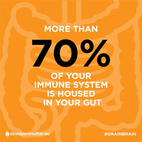 The Gut Is Home To Over 70 Of Your Immune System And It Plays A Key