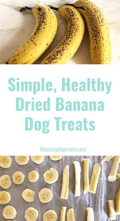 So, you can try the baby food, cooked chicken and rice, carrots, green beans, sweet potatoes, cottage cheese, plain cooked pasta, bananas, water, pedialyte, beef broth, chicken broth, ice cubes. Dried Banana Dog Treat Recipe (With images) | Dog food ...
