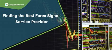 Finding The Best Forex Signal Service Provider Guestcanpost