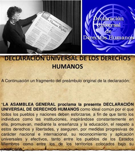 Declaracion De Los Derechos Humanos Y Sus Errores By Academia My XXX