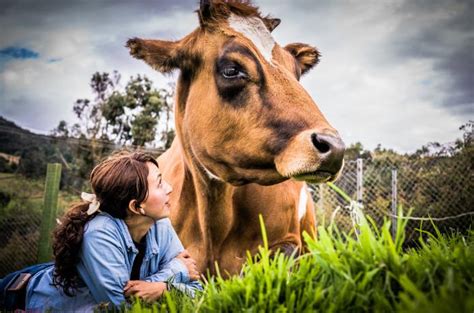Why Should You Support An Animal Sanctuary Julianas Animal Sanctuary