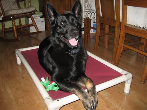 German Shepherd Dog Beds Kuranda Dog Beds