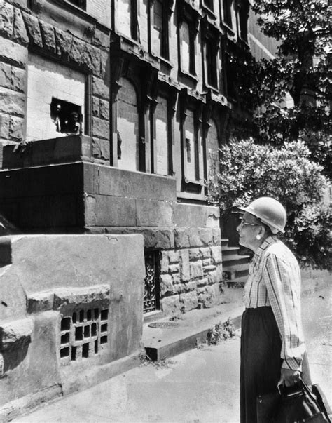 black history month hattie carthan saves a tree and starts a movement in brooklyn