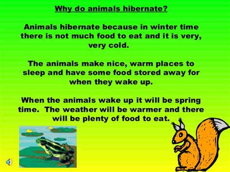 Hibernation is a state of minimal activity and metabolic depression. Hibernation