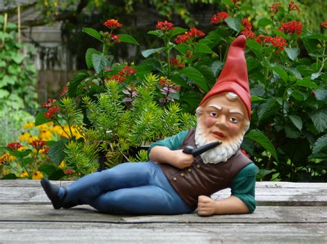 That couldn't be further from the truth (but it may, indeed, scare some many may consider a garden gnome a thing of novelty. It's a sexy Garden Gnome. : photoshopbattles