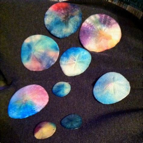 Sand Dollars Dyed With Food Coloring And Sealed With Clear Coat