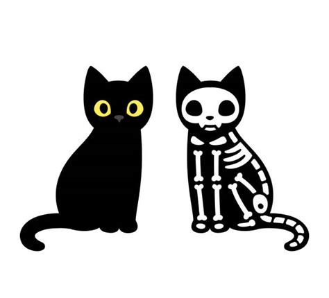 Cat Skeleton Illustrations Royalty Free Vector Graphics And Clip Art