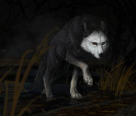 700 Wolf Wallpapers