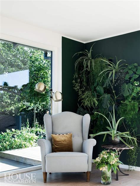 Bright but indirect light is best for this plant, which people often put in common spaces of their homes, like the living room. Love the green wall with plants | Accent Wall Ideas in ...