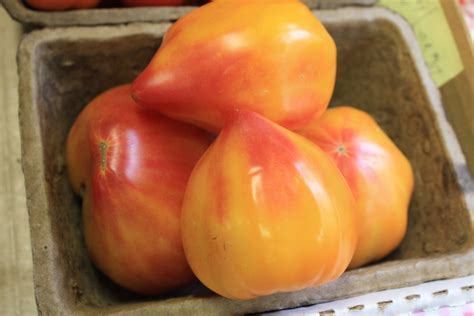 Rustys Heirloom Tomatoes