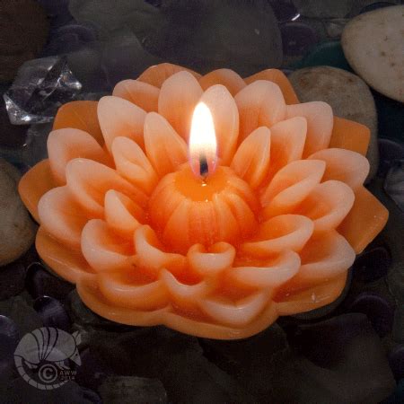 You will be impressed with yourself when you see just how beautiful this transformation is. Floating: Dahlia Floating Flower Candle - Candle Factory Store