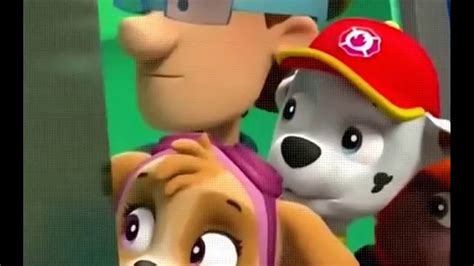 Paw Patrol Pups Great Race Pups Save A Lucky Collar Full Episodes