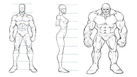 How To Draw Superheroes Male Proportions Robert Marzullo Skillshare