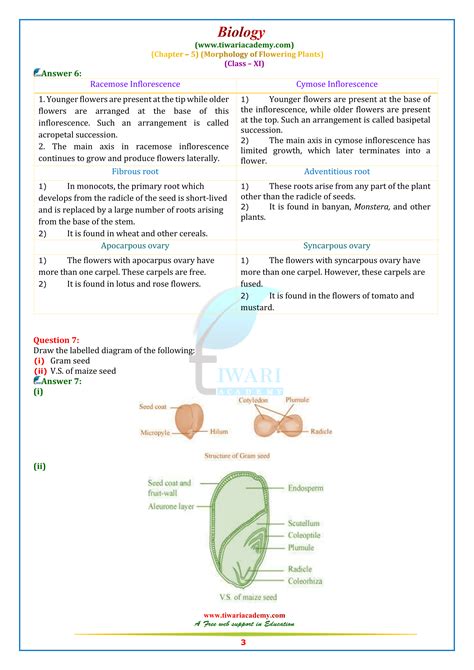 .in the class 11 science book prescribed by the ncert for all the schools of cbse. NCERT Solutions for Class 11 Biology Chapter 5 Morphology ...