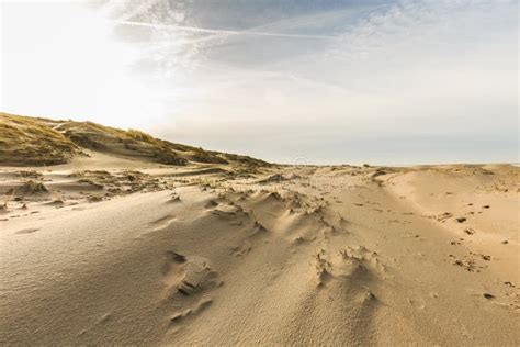 Dune Landscape At Sunrise Stock Image Image Of Footsteps 88522709