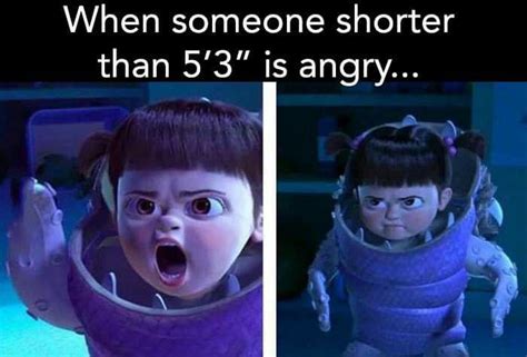 Pin By Maggie Cambron On Funny Short Girl Memes Short Girl Problems