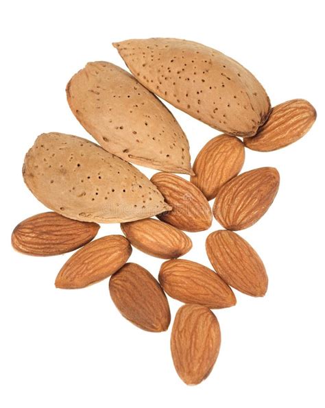 Almond Shells And Cores Stock Image Image Of Horizontal 10382399