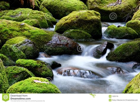 Mossy River Rocks Stock Image Image Of River Moss Mossy 1525119