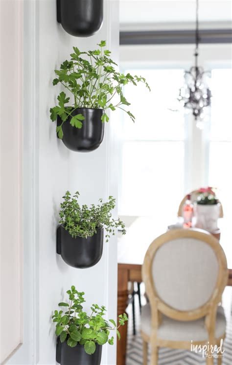 Best indoor herb garden kits for your kitchen. How to Create a Modern Kitchen Herb Garden