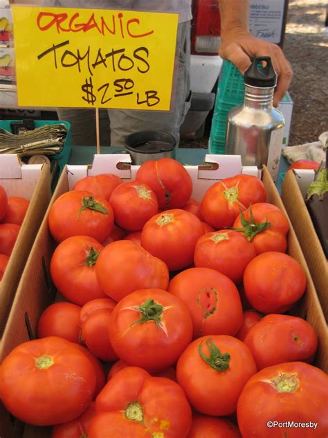 Check spelling or type a new query. Gold Country, California: The North Star Saturday Market | TravelGumbo