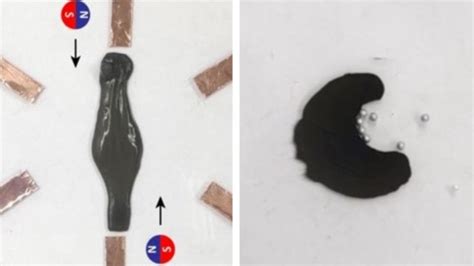 slimy robot promises to retrieve swallowed objects from the human body globalspec