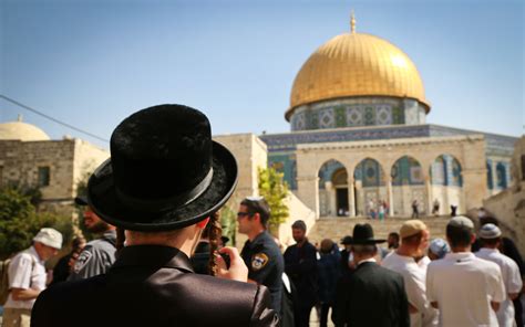 There are meadows and hills for all of our special friends so they can run and play together. Jordan: Jewish prayer at Temple Mount entrance violates ...