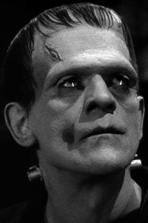 Frankenstein 1931 Classic Horror Movies Monsters Frankenstein Art