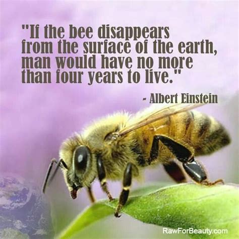 Fk Monsanto Their Round Up Is Killing People And Bees Without Bees We