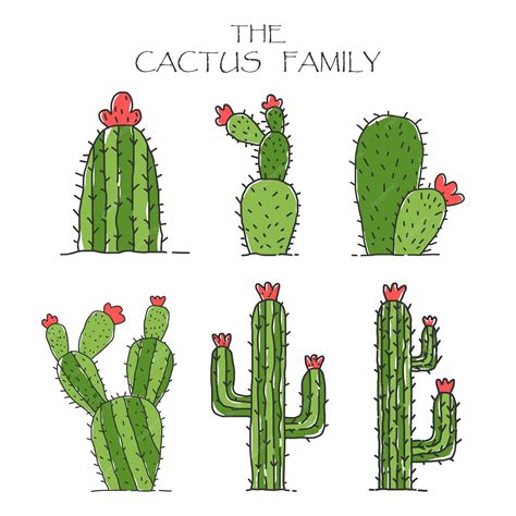 Premium Vector Cactus Collection Set Cartoon Style Colorful Cute