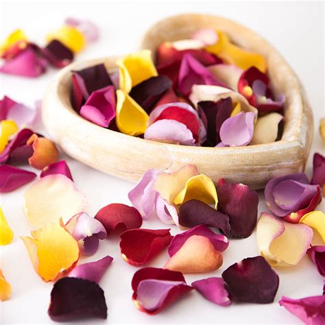 While the magical mystery that. Real Rose Petals from The Real Flower Petal Confetti Company