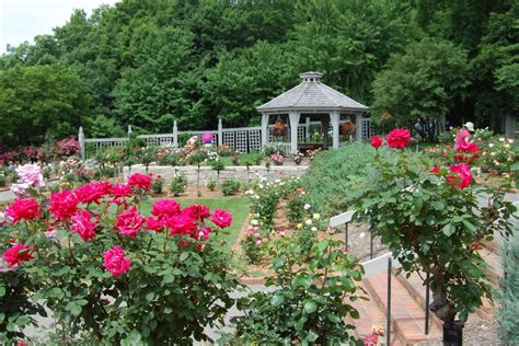 minnesota landscape arboretum visit twin cities
