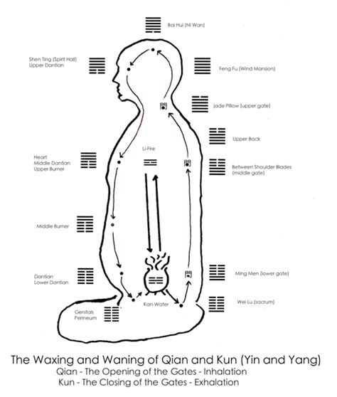acupuncture experience and enlightenment steve woodley in 2021 qigong tai chi qigong tai chi