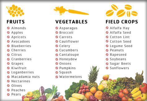 Bees favour a wide range of flowering plants, including foxglove, birdsfoot trefoil and red clover, which you can grow easily with our seedball bee mix. Celebrate National Pollinator Week - Grounded Strategies