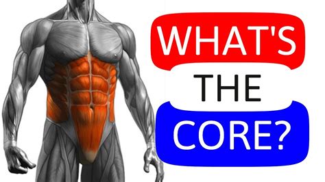 What Are The Core Muscles And Why To Train Them Part 1 Youtube