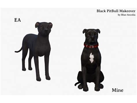 The Sims 4 Black Pitbull Makeover Fourth Version By Blue Ancolia