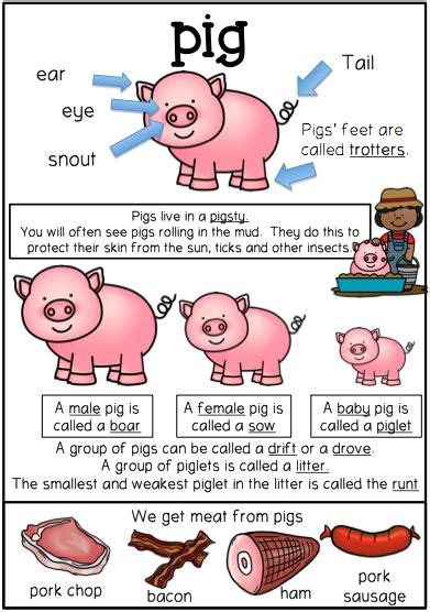 Farm Animals Theme Worksheets Pig Pack Farm Animals Theme Farm