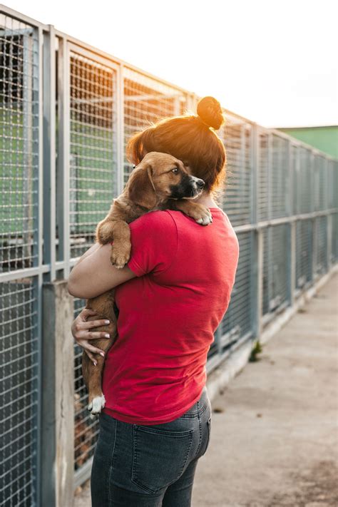 Animal Shelter Appreciation Week 7 Ways Shelters Help Pets Dogtime