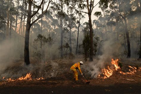 What The Australian Bushfires Mean For The Rest Of The World