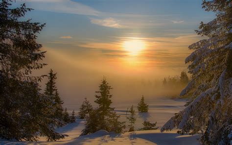 Landscape Nature Sunset Winter Mist Forest Snow