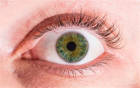 Close Up Of A Green Eye Stock Photo Download Image Now Istock