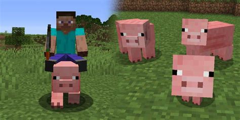 Minecraft Player Makes A Glowing Pig Using Simple Commands
