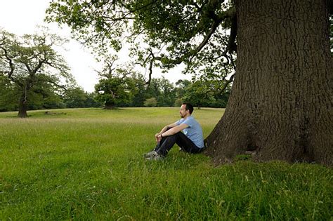 Man Tree Sitting Bilder Und Stockfotos Istock